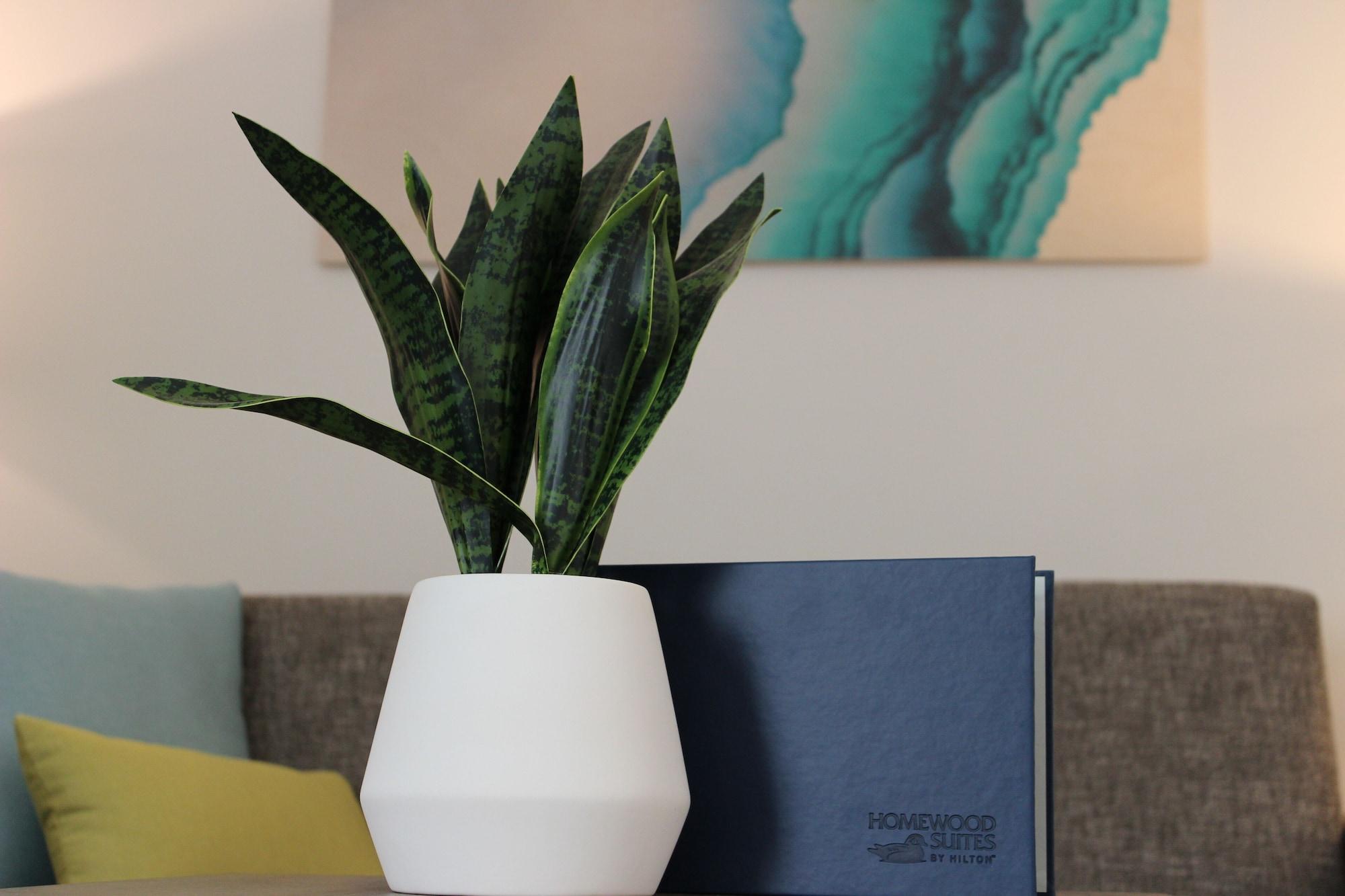 Homewood Suites By Hilton Chula Vista Eastlake Exteriör bild